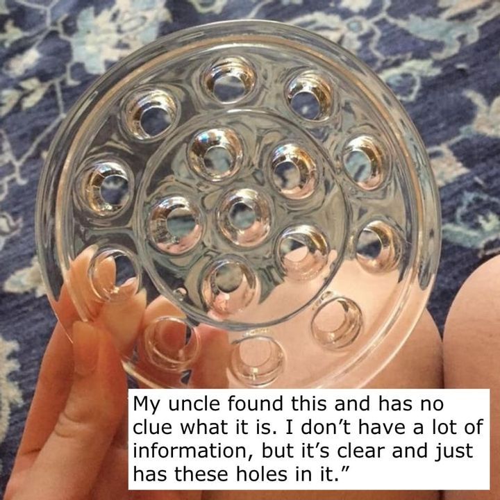 Spruce Up Your Plants