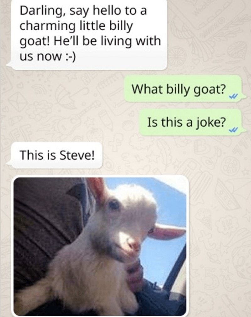 Staying over with a billy goat