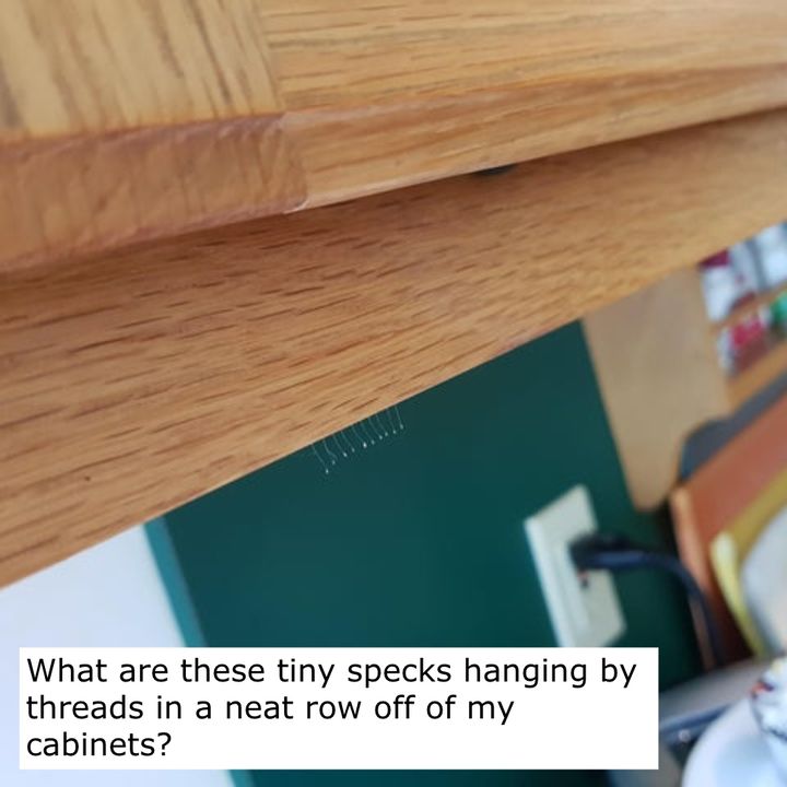 Suspicious Suspension