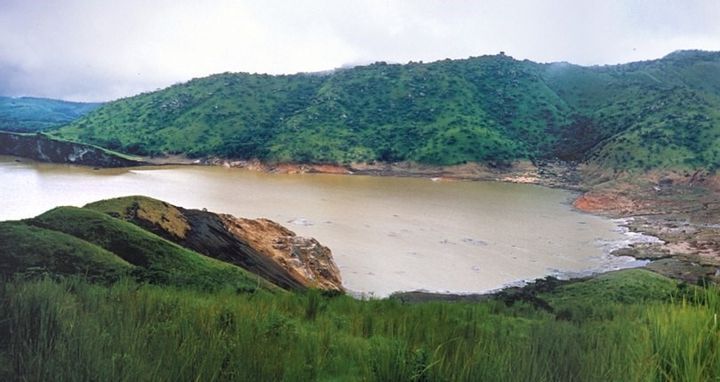 The Apple Doesn’t Fall Far from the Tree