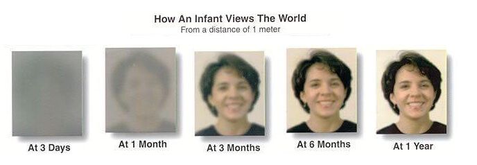 AutoReviewHub
