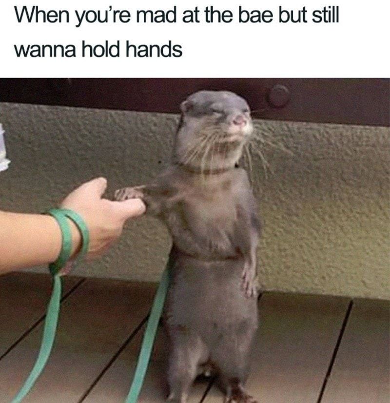 We are not talking with you