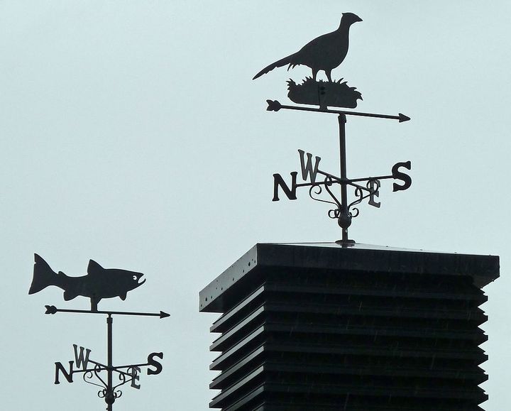 Freaky Weathervane AutoReviewHub
