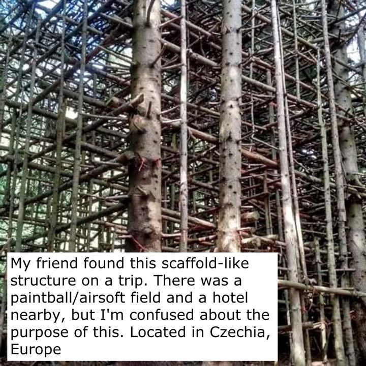 Welcome to the Organically-Made Arena