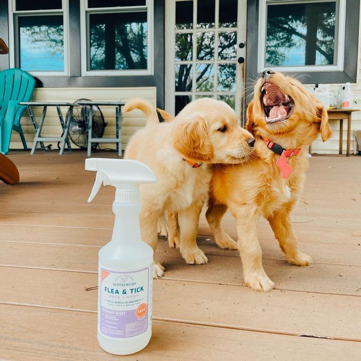 Wondercide Flea, Tick, and Mosquito Spray for Pets and Home