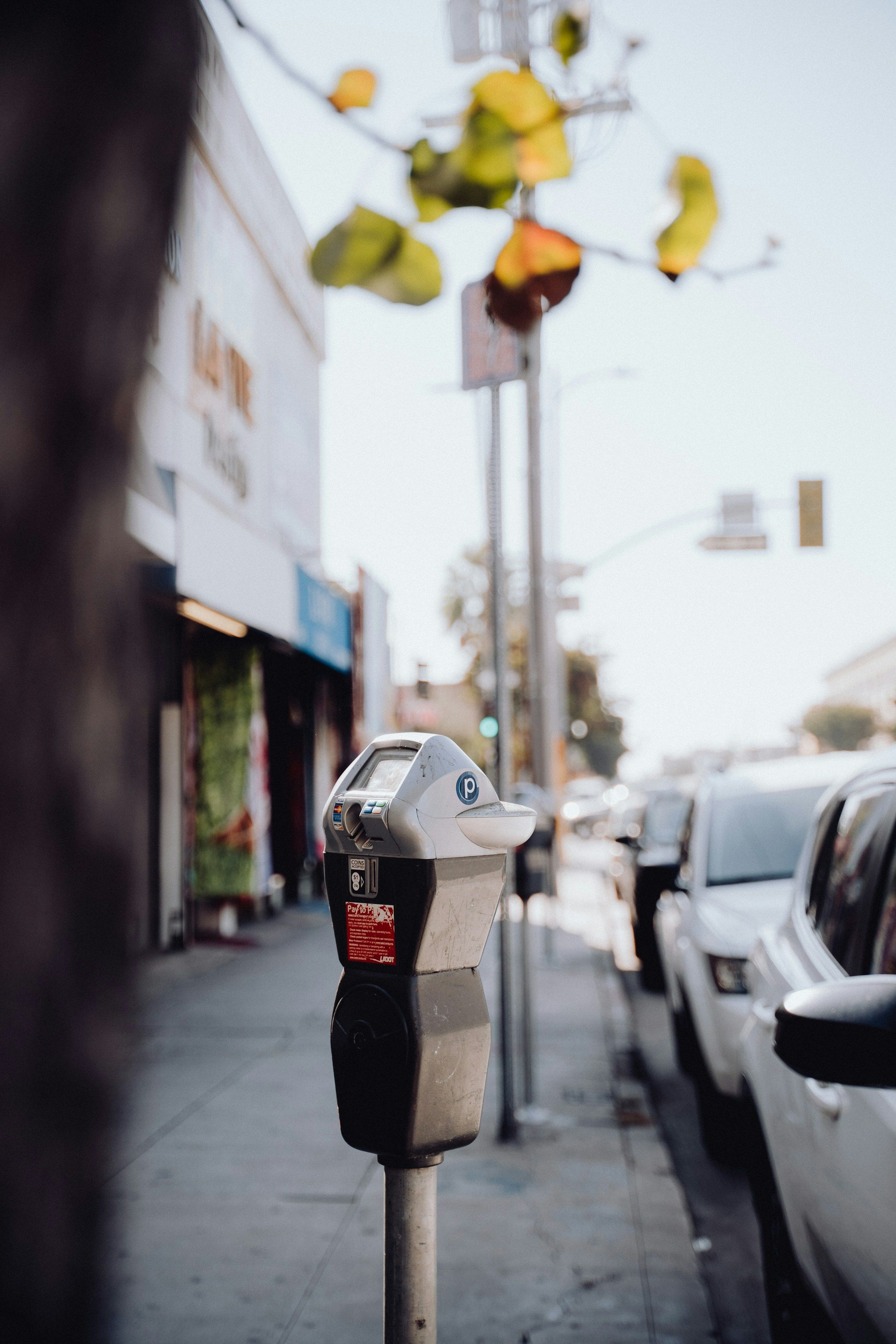 Parking Prowess