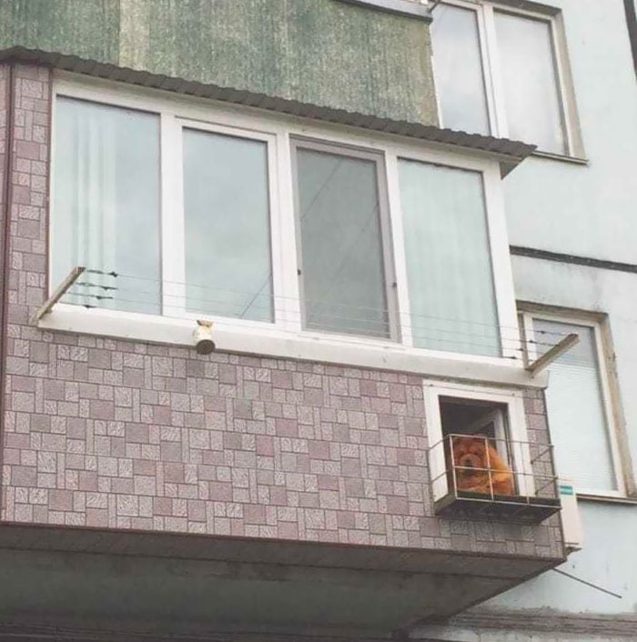 Pup’s New Balcony