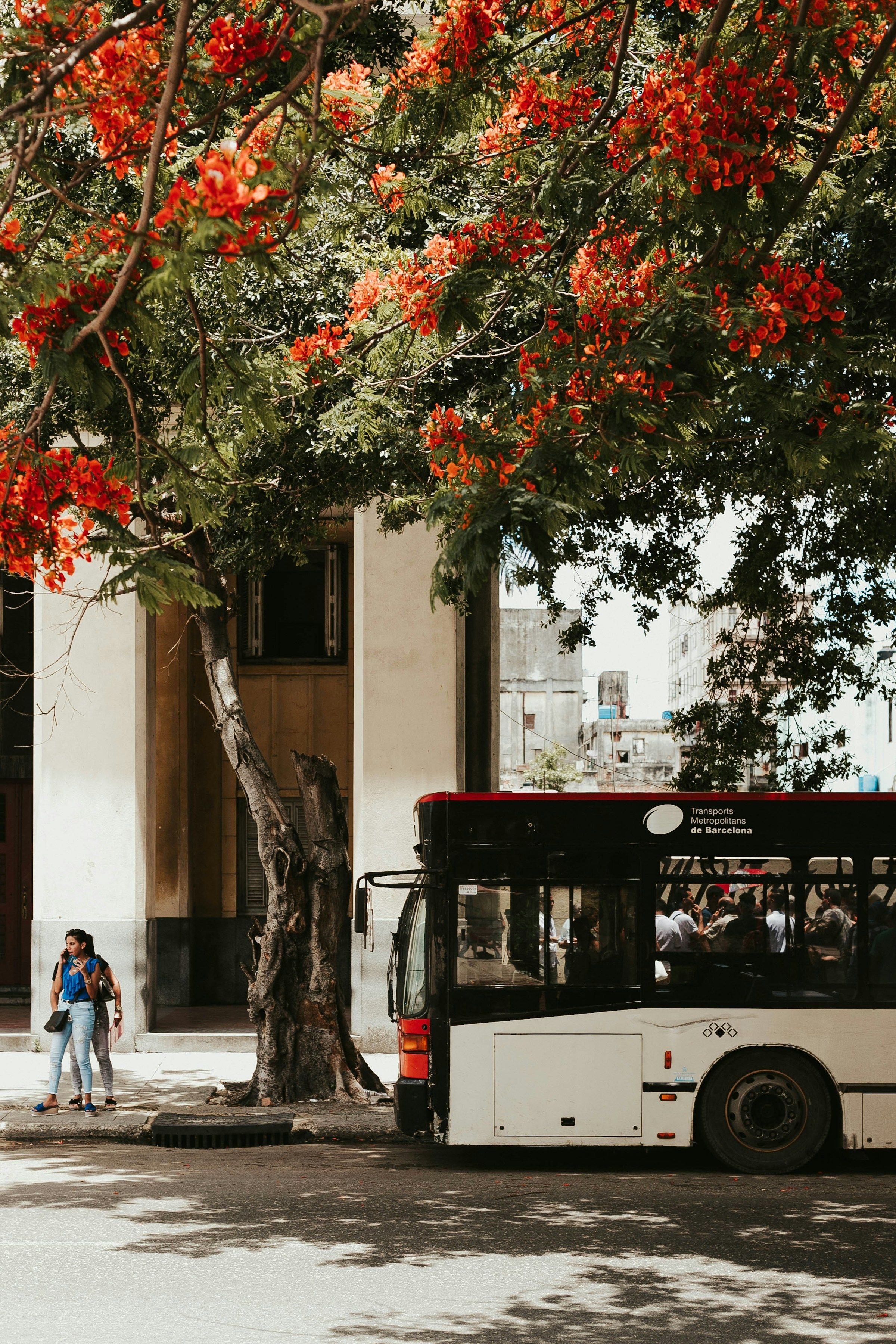 Bus Stand