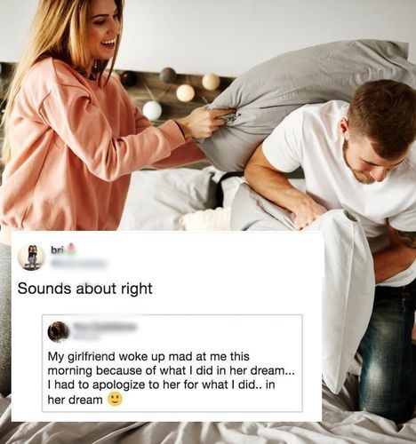 Apologize for what you did in a dream