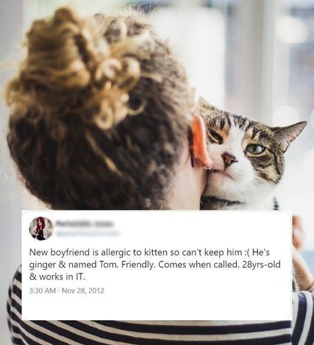 Boyfriend or kitten, who is priority?