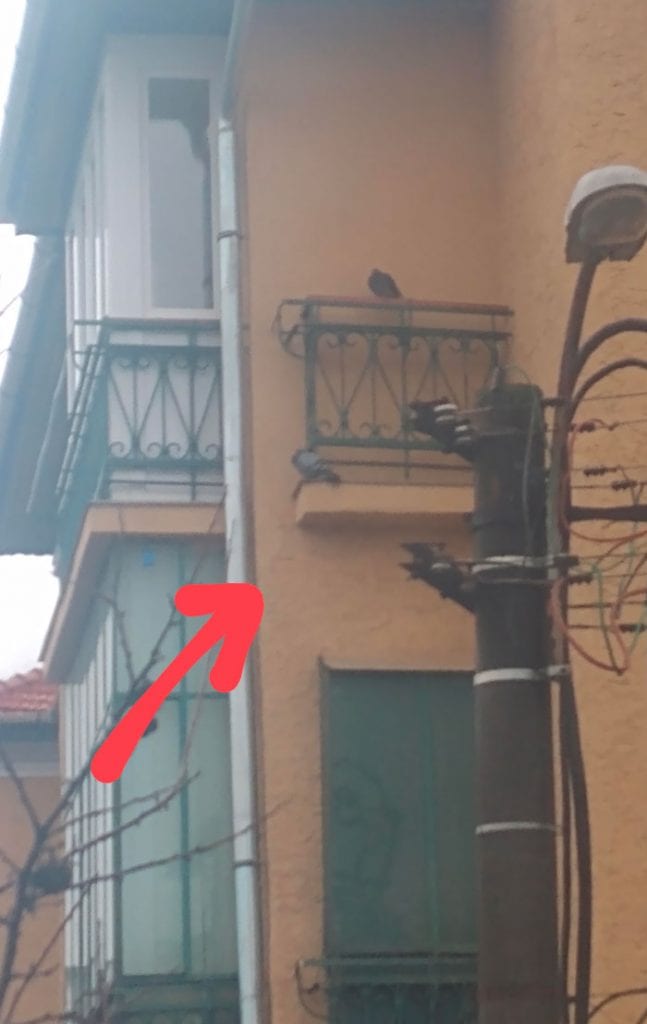 Unwelcome Guests